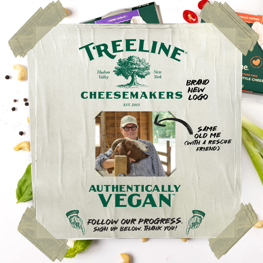 Creamy Scallion French-Style Cashew Cheese – Treeline Cheese